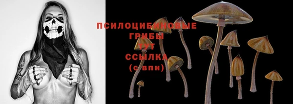 синтетический гашиш Богородск