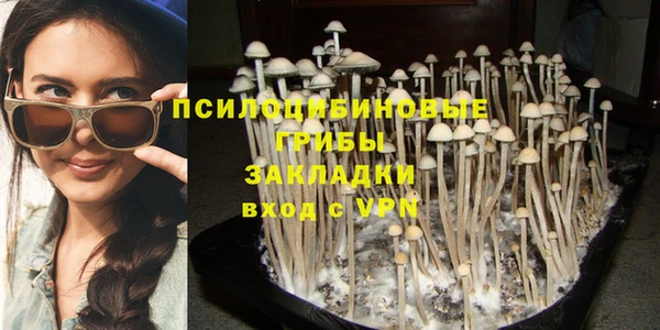 героин Богородицк