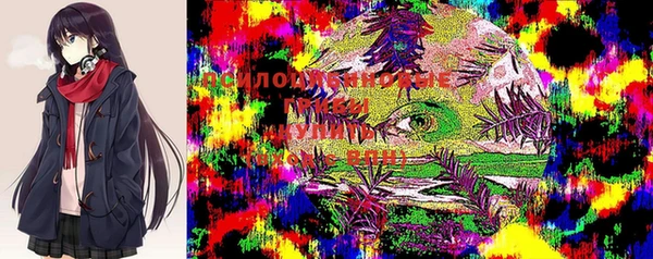 героин Богородицк