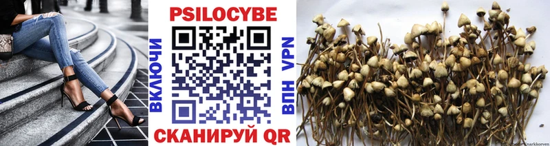 Псилоцибиновые грибы прущие грибы  купить  сайты  Егорьевск 